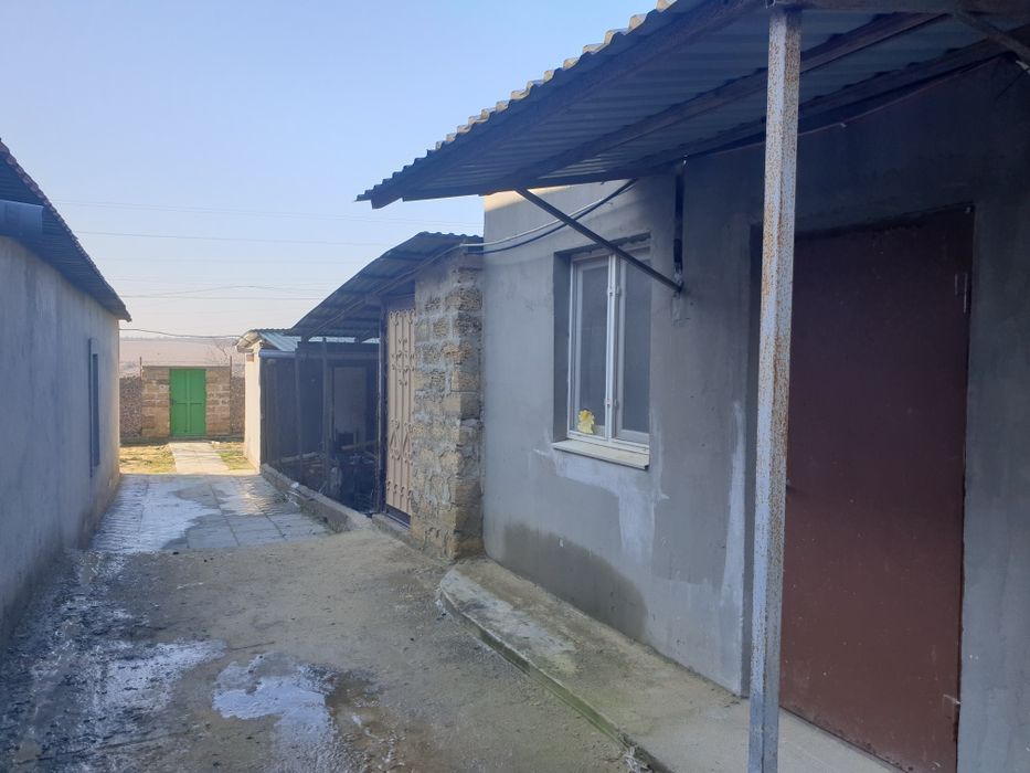 Продам дом,участок,фермерское хозяйство