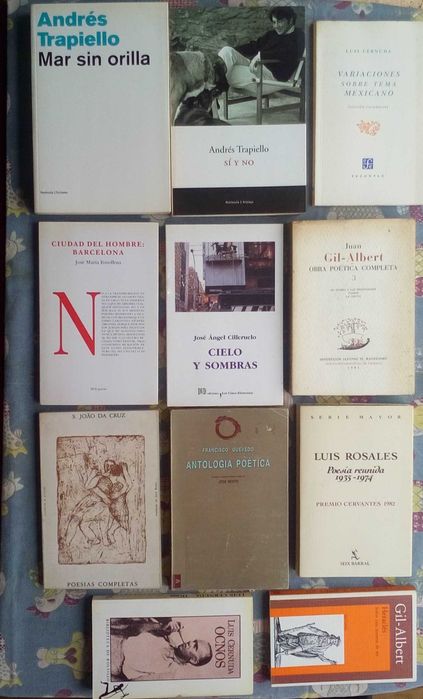 Poesia espanhola