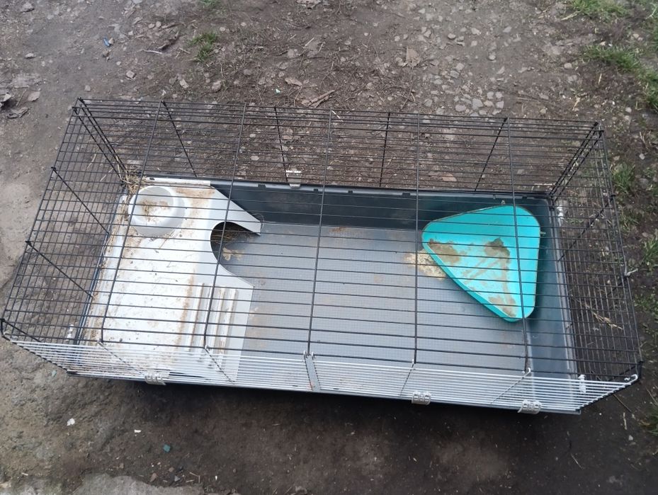 Клітка для гризунів