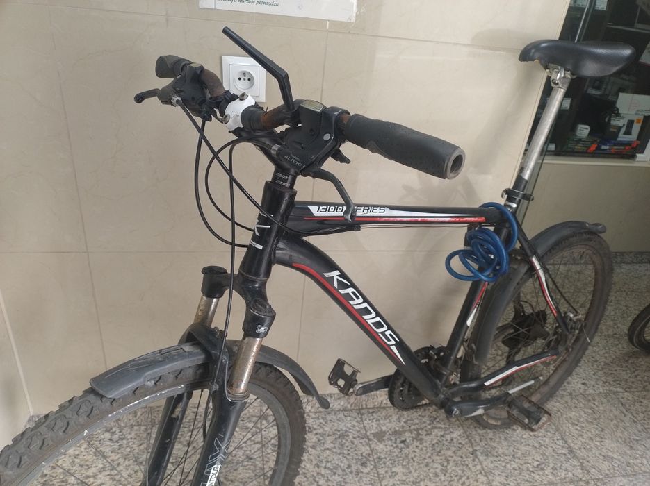 (2818/25)rower Kands 1300Series