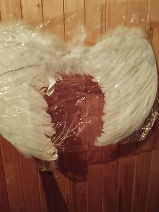 Крила ангела з пір'я