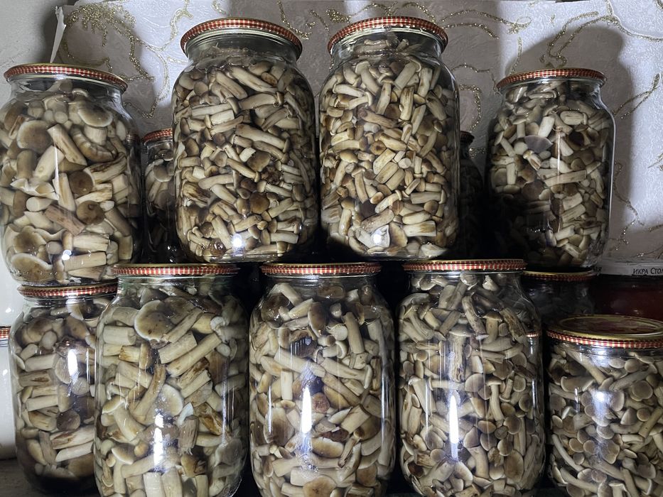 Опеньки мариновані