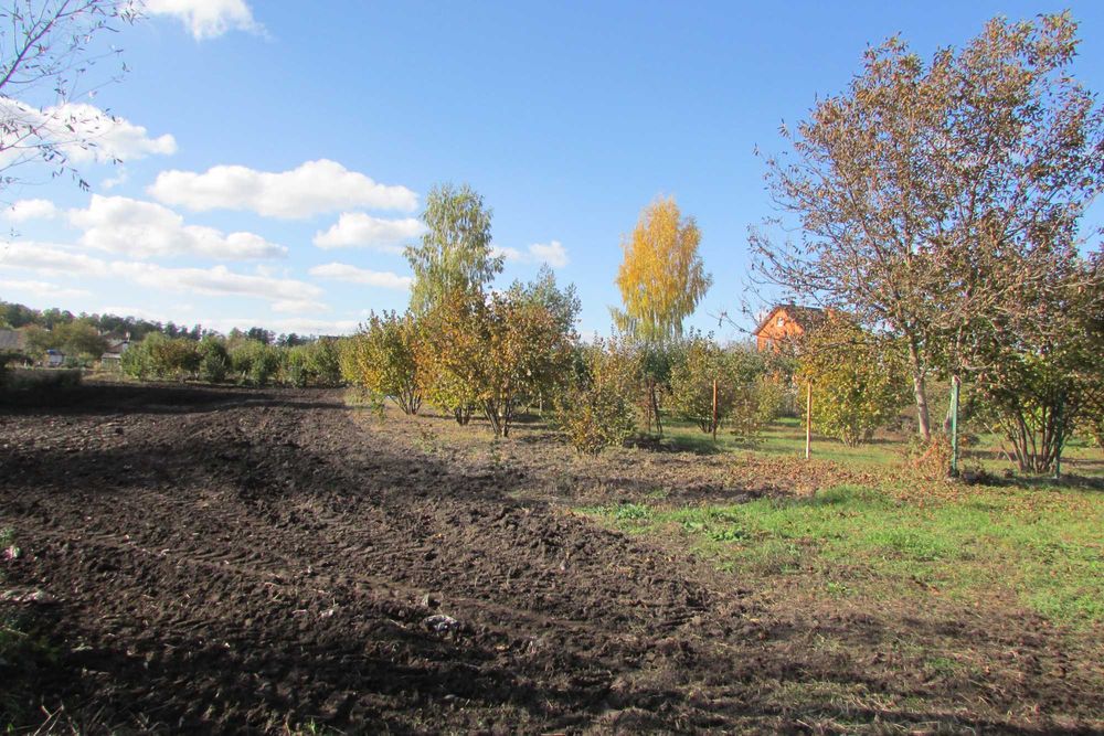 ПУХІВКА. Земельна ділянка 19 соток під забудову.