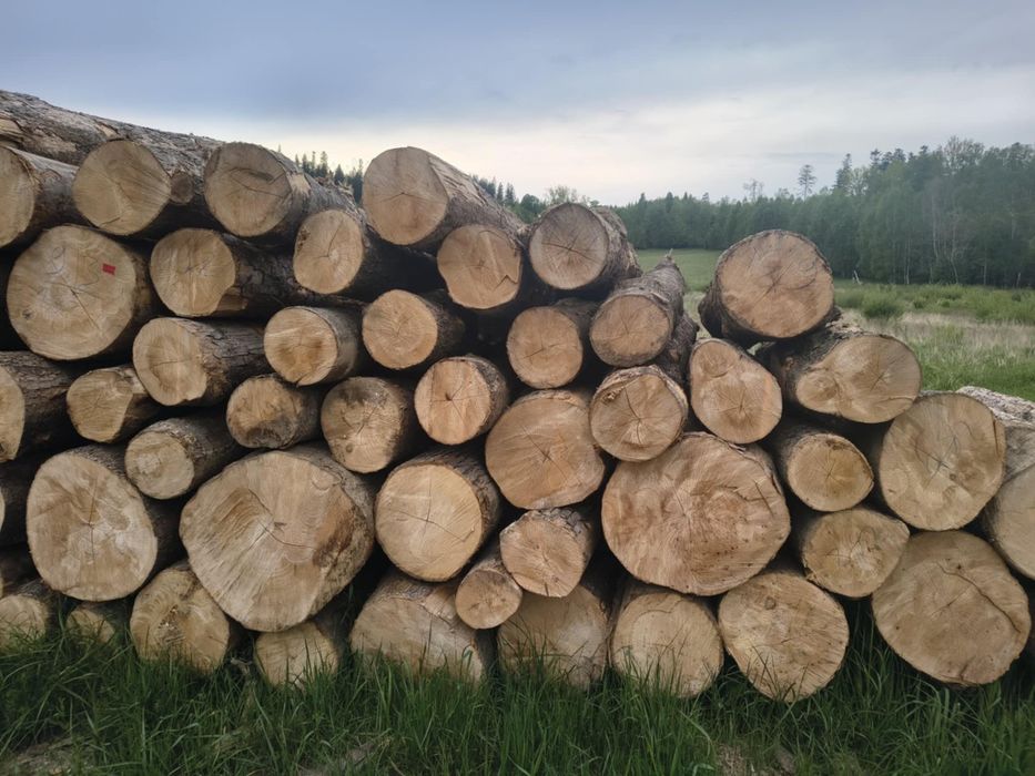 Drewno opałowe świerk