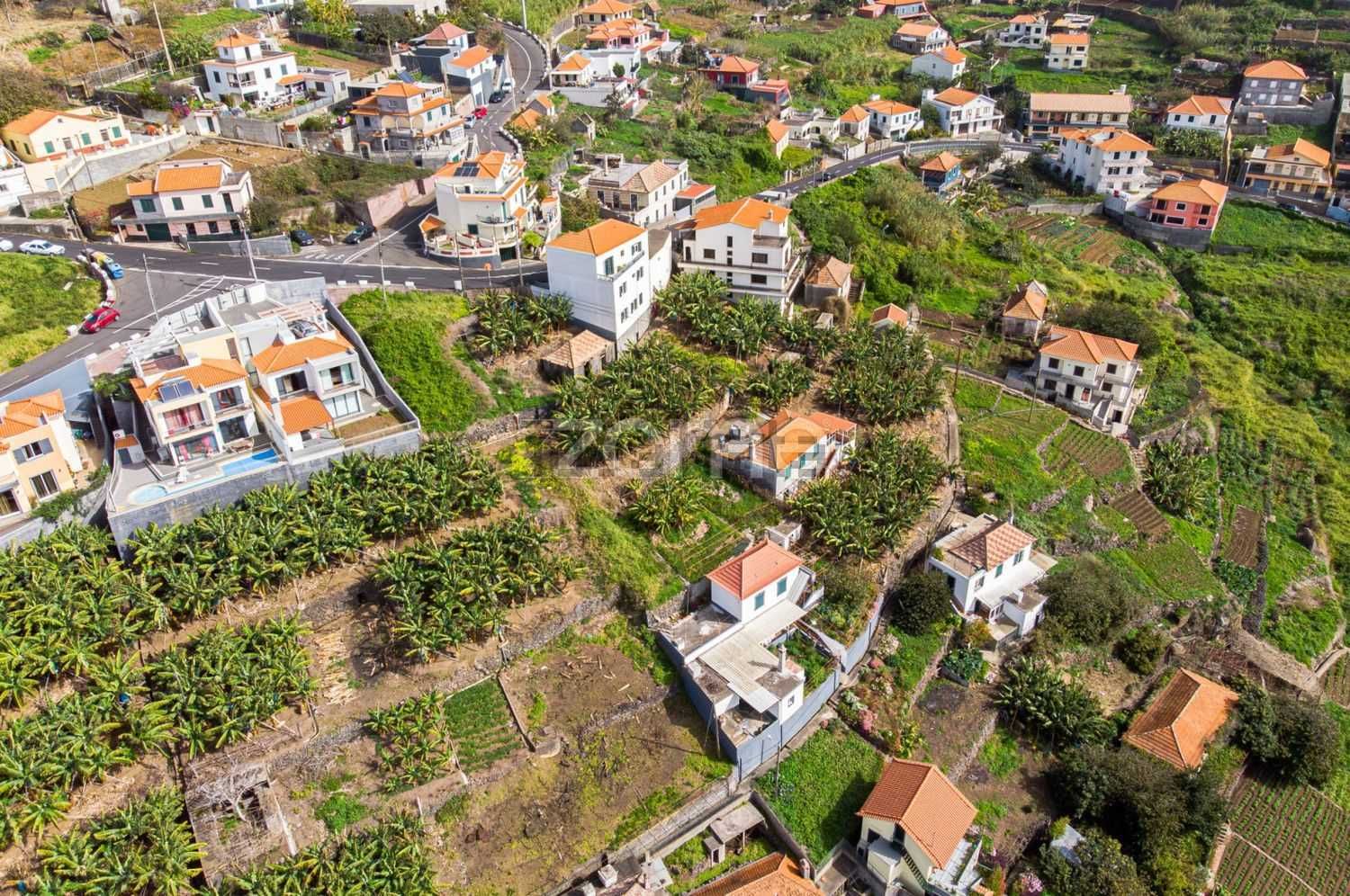 Terreno para construção - Ribeira Brava, São João.