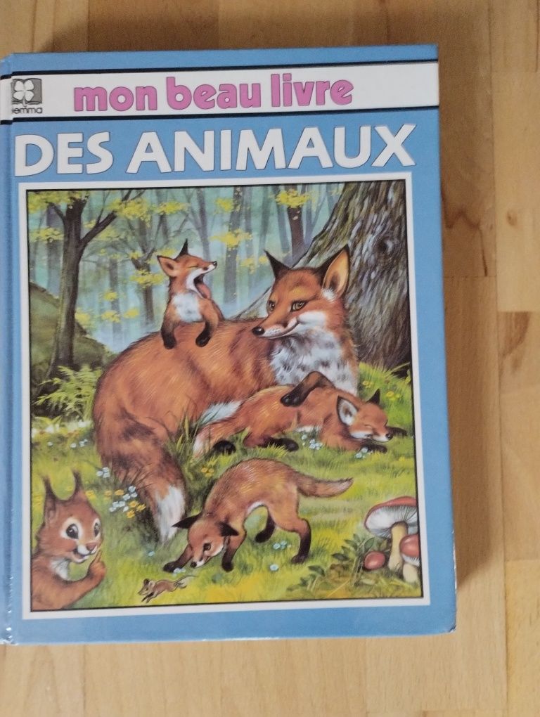 Książka dla dziecka w j.francuskim