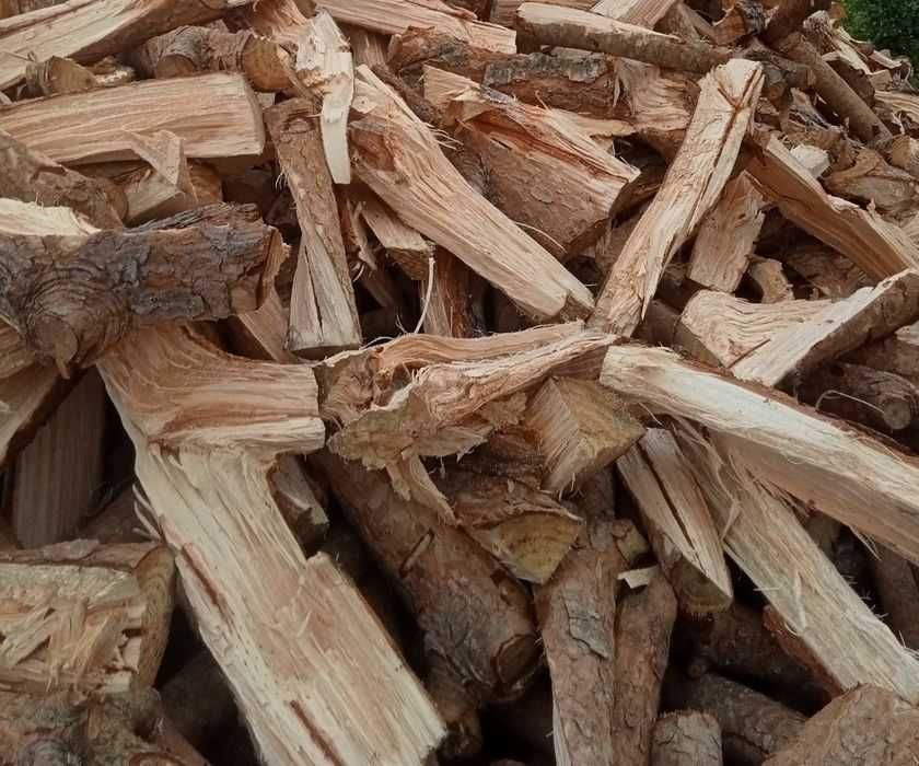 Lenha  de pinho seca