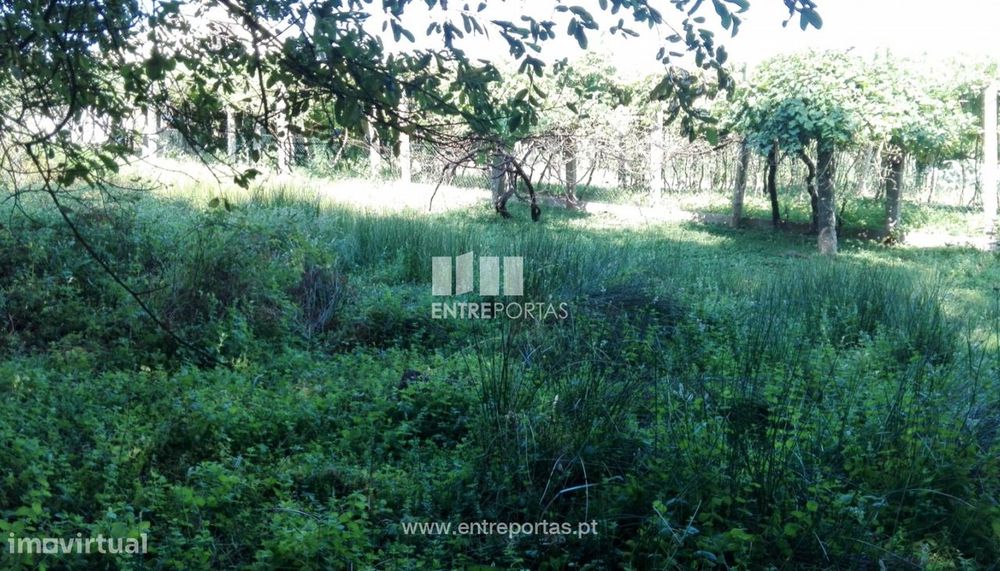 Venda de Terreno, Arcozelo, Ponte de Lima