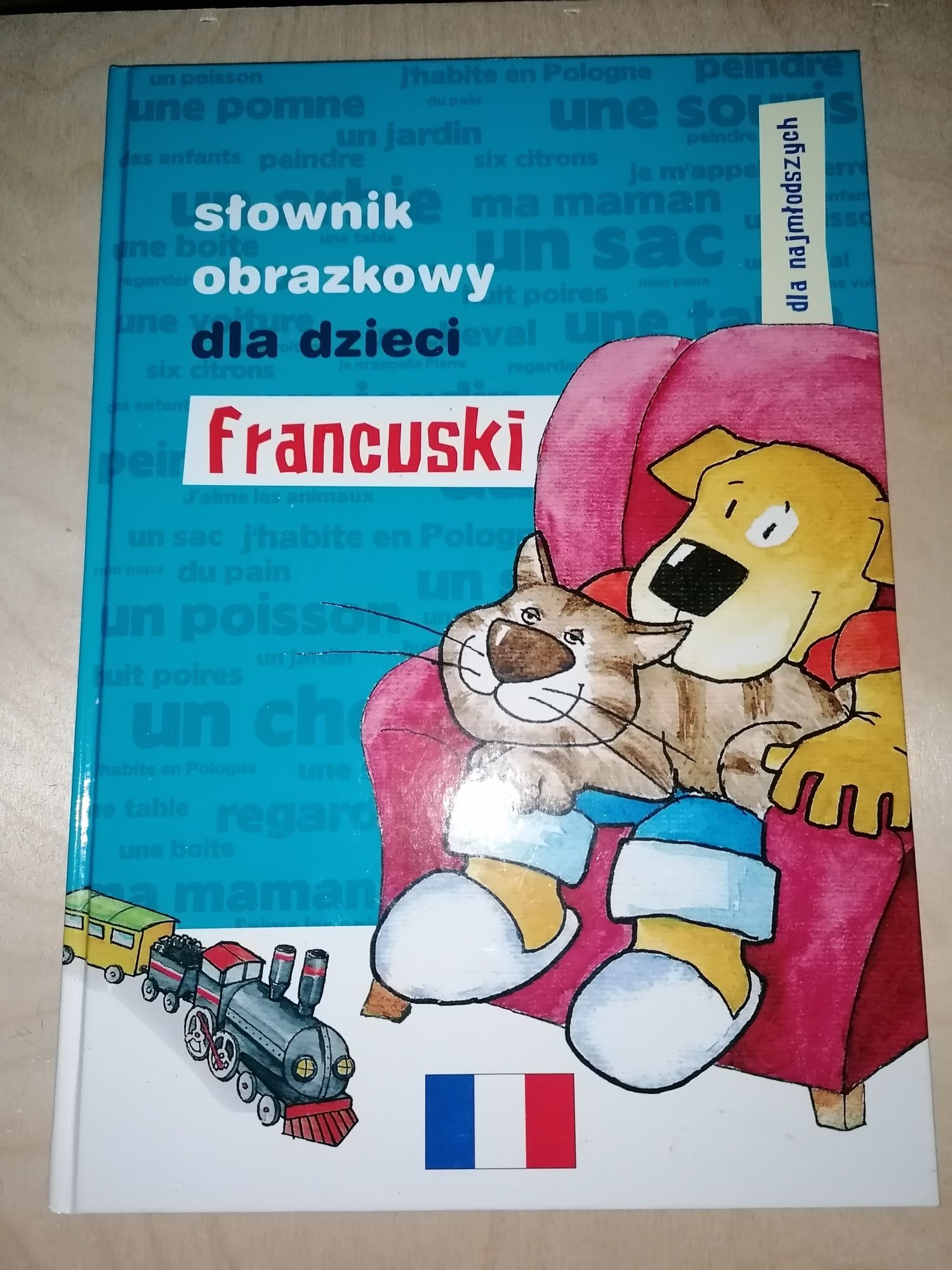 Słownik obrazkowy dla dzieci francuski
