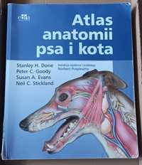 Atlas anatomii psa i kota Edra urban