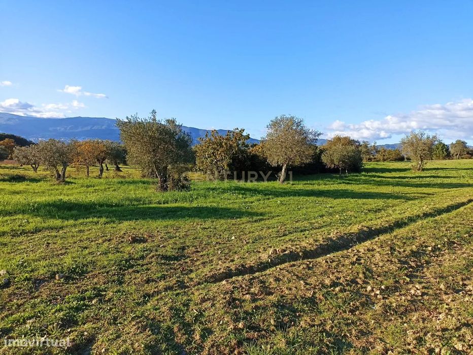 Terreno Rústico em Peraboa, Covilhã