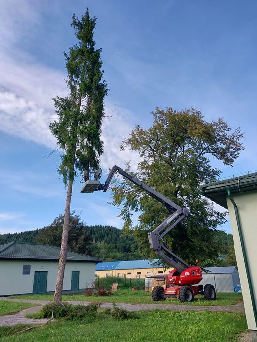 Wycinka ścinka przycinanie drzew czyszczenie działek rębak Bochnia