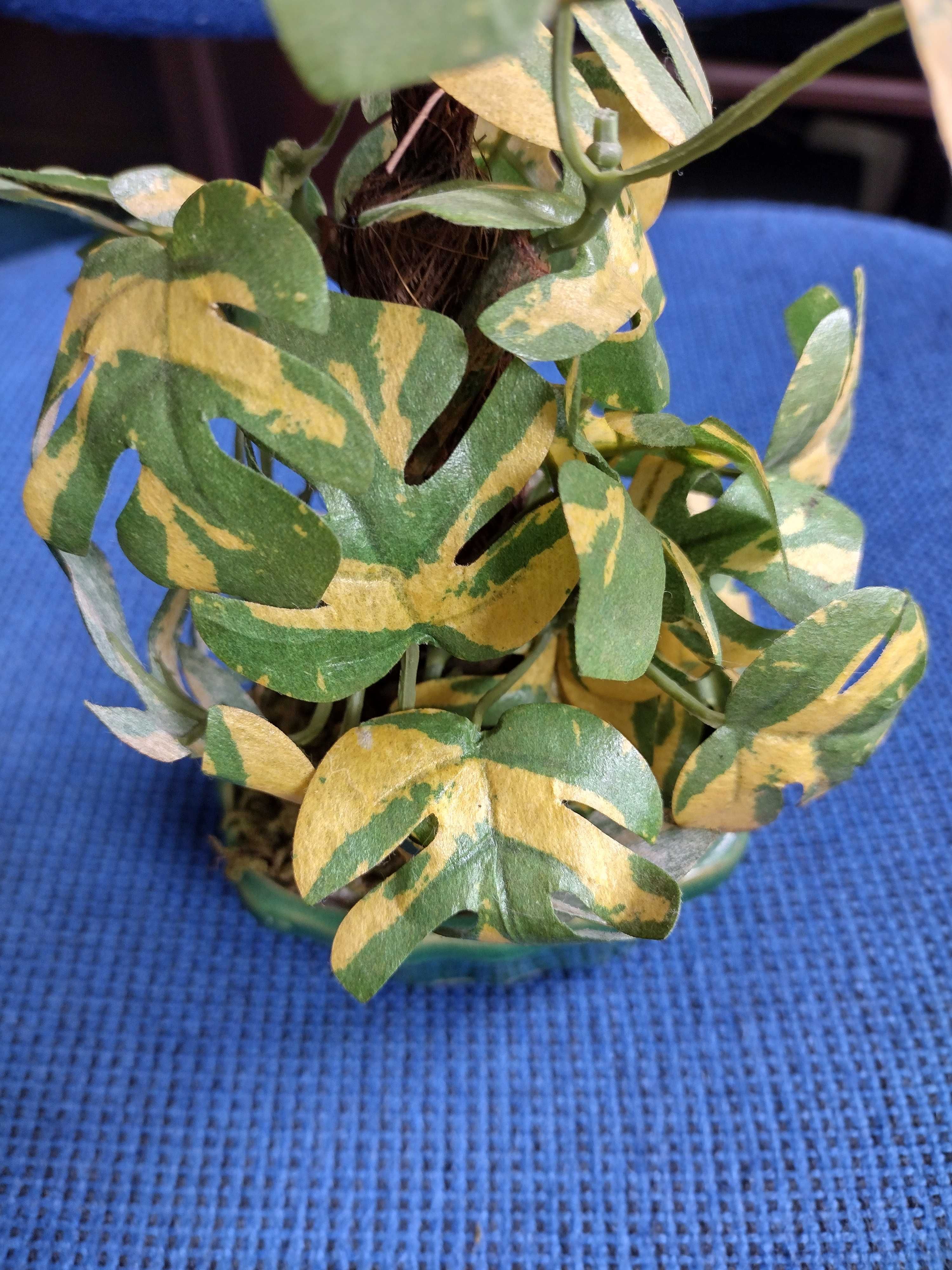 Stroik zielono-żółte liście