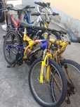 Bicicletas totalmente fincionais