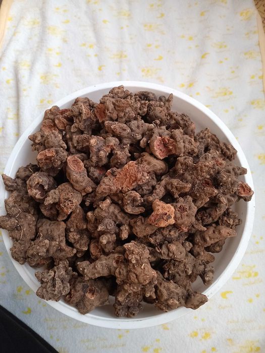 Корінь калгану сушений