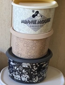 Caixas da Disney da Tupperware