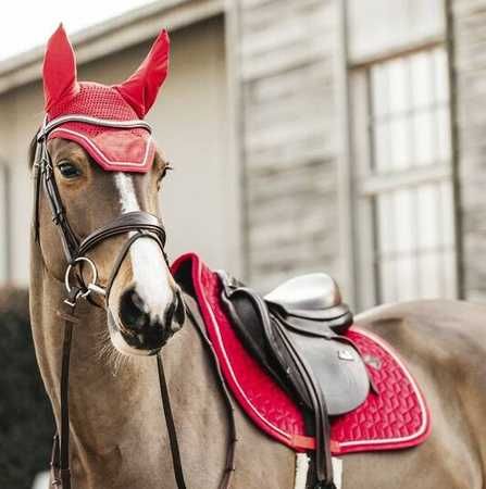 Czaprak Velvet red COB KENTUCKY