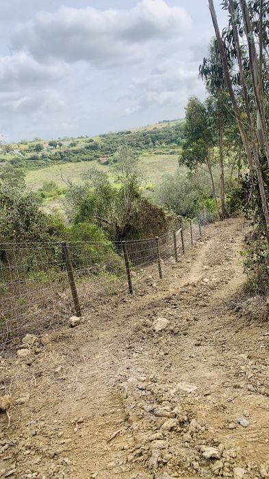 Vedações, Rede, Postes, Madeira, Cimento