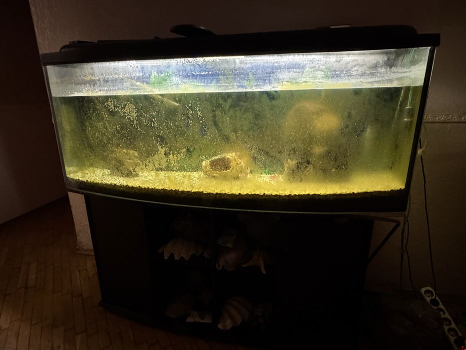 Акваріум для риб