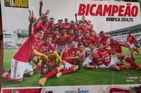 poster grande Benfica bicampeão 2014/15