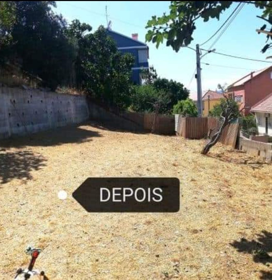 Limpeza, Construção e Manutenção de Terrenos e Jardins