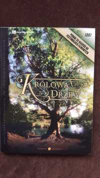 Królowa drzew  DVD