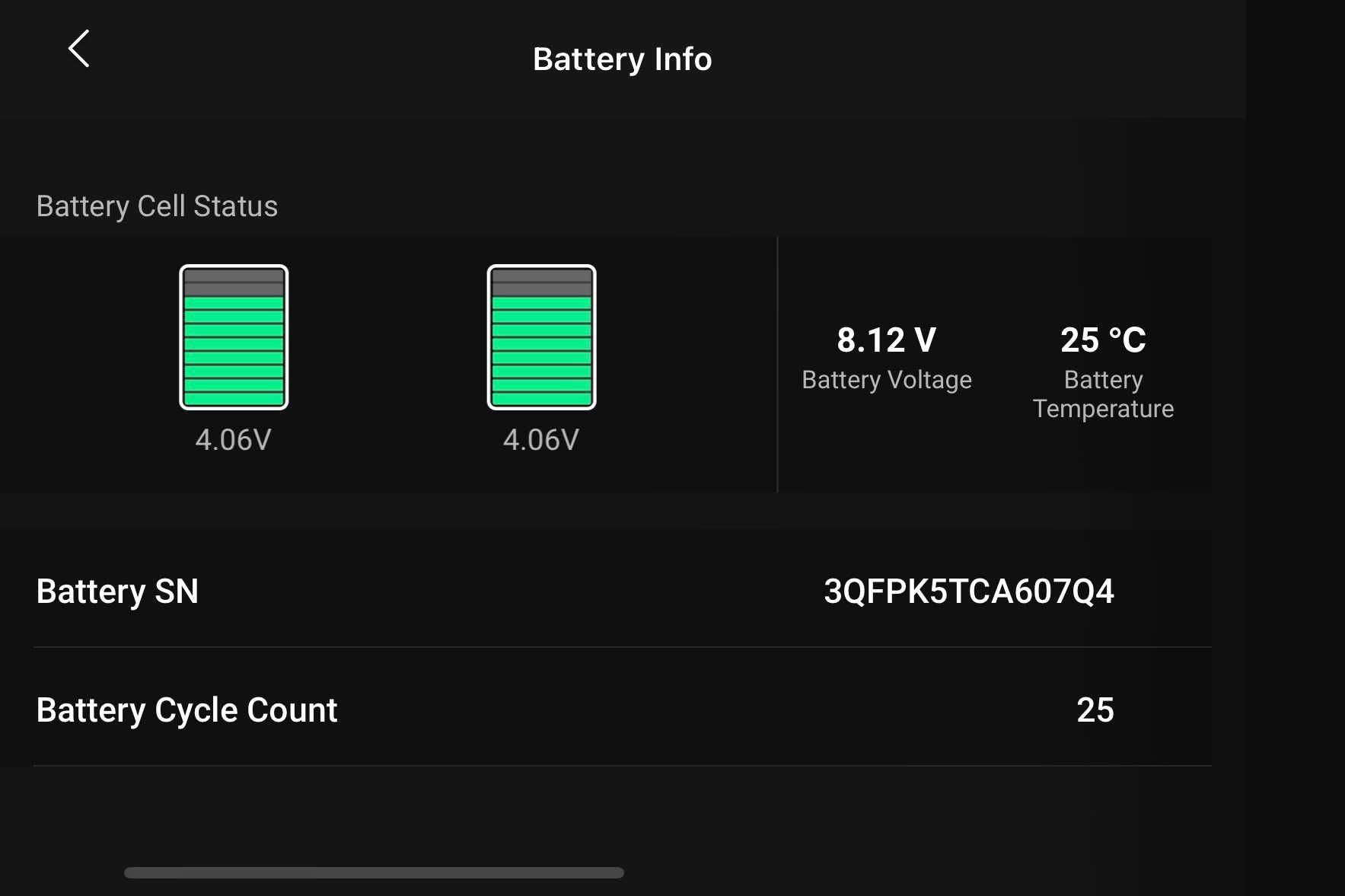 Dron DJI Mini 2 Fly More Combo + DJI Care do 09.2024