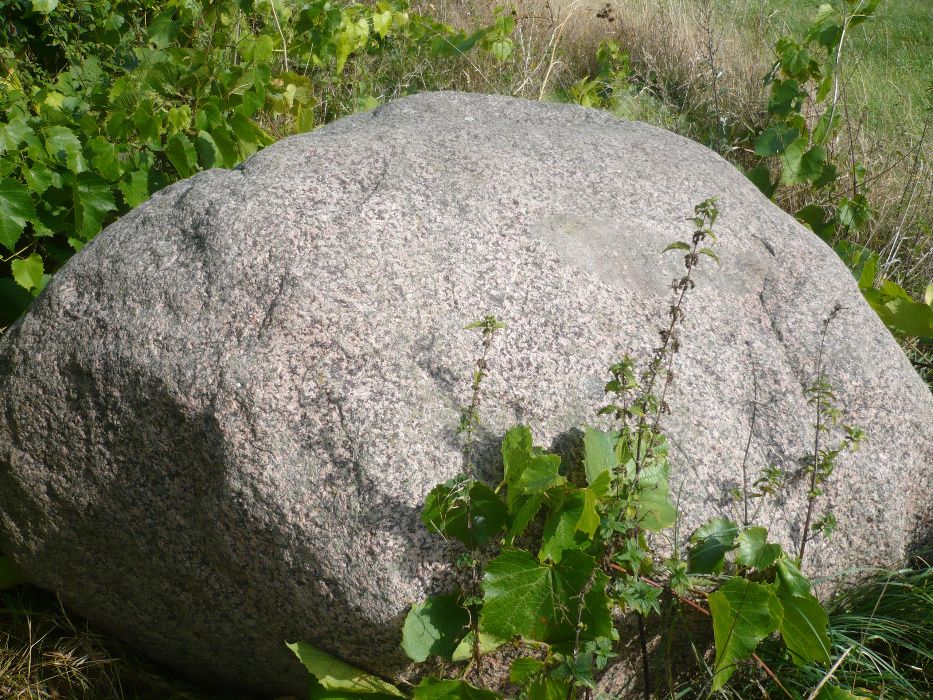 Głaz (kamień) średnica około 1,5 m