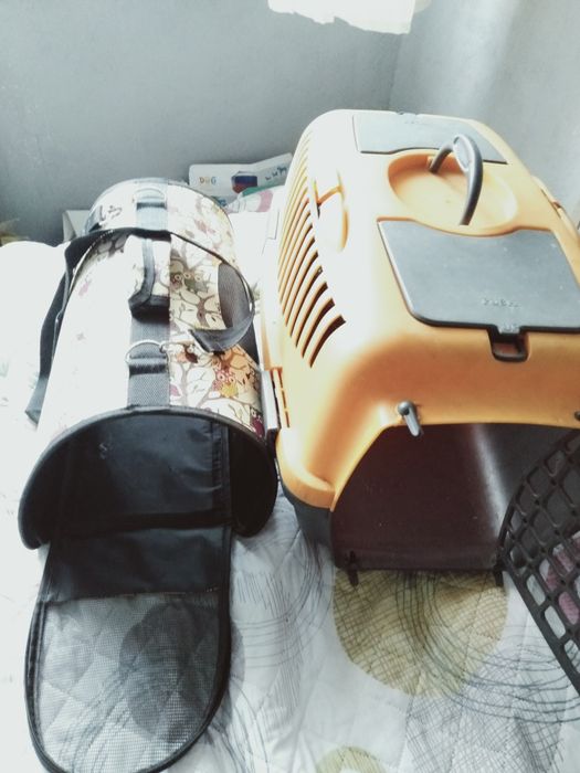 Torba transportowa i duży transporter dla zwierząt