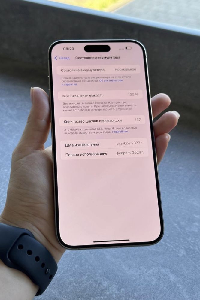 IPhone 15 Pro Max 256 Gb Natural Titan