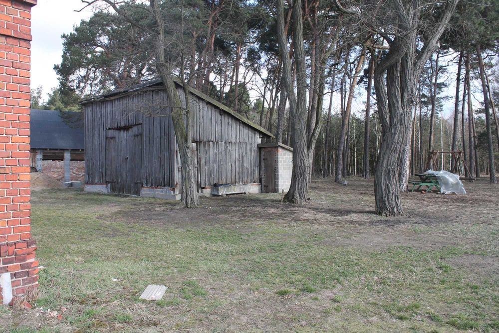 Deski ze starej stodoły