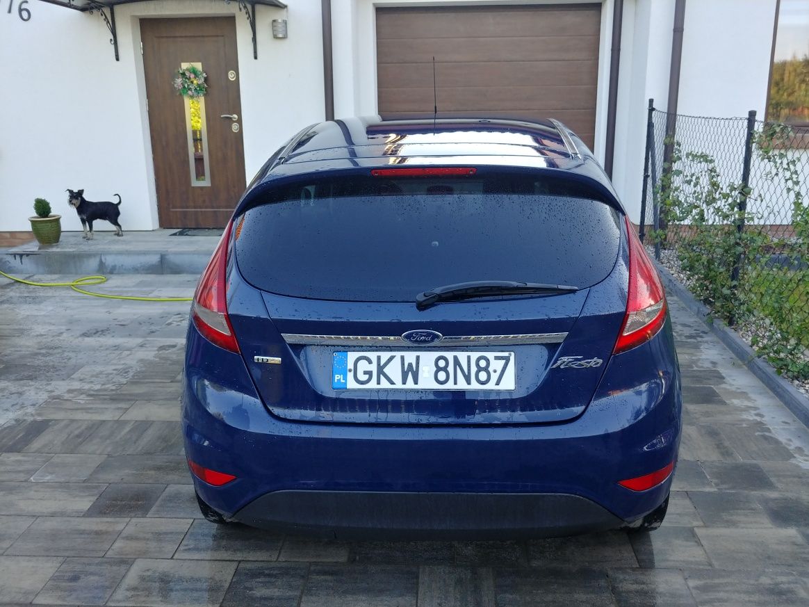 Ford fiesta 1.4tdci