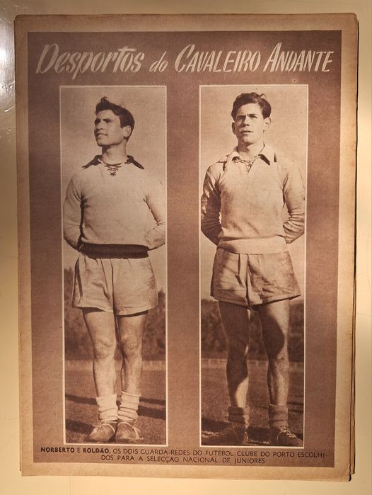 Cavaleiro Andante Várias Separatas.