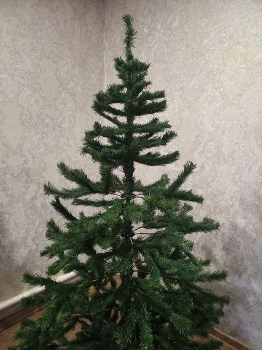 Продам ялинку 180см