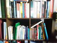 Livros Diversos a Vários Preços - SG - Muitos em Óptimo Estado