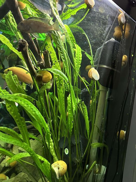 Акваріум ..б/ у в хорошому стані