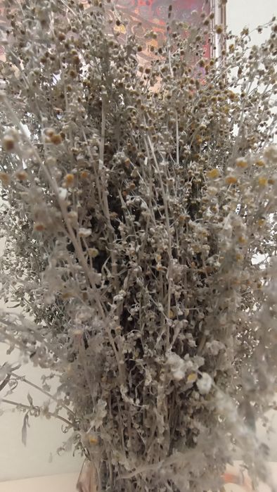 Психолог, ПСі експерт, Психоаналіз сновидіння. Особистісне зростання.