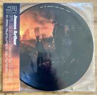 James Arthur - It'll All Make Sense In The End (Picture Disc) (2 LP)