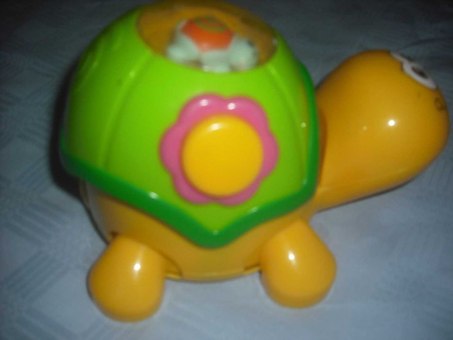 Żółw interaktywny z napędem