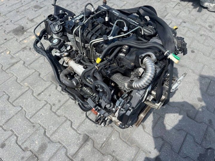 Двигун Ford є всі моделі Focus Mondeo Fiesta Fusion S-max C-Max