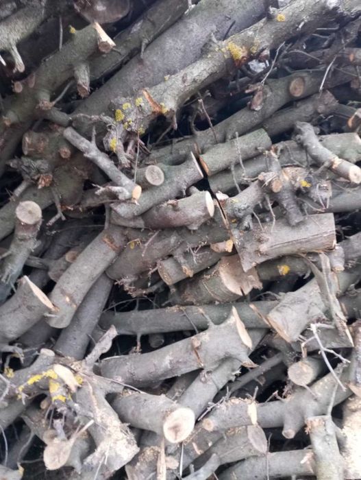 Sprzedam drewno opałowe suche sezonowane