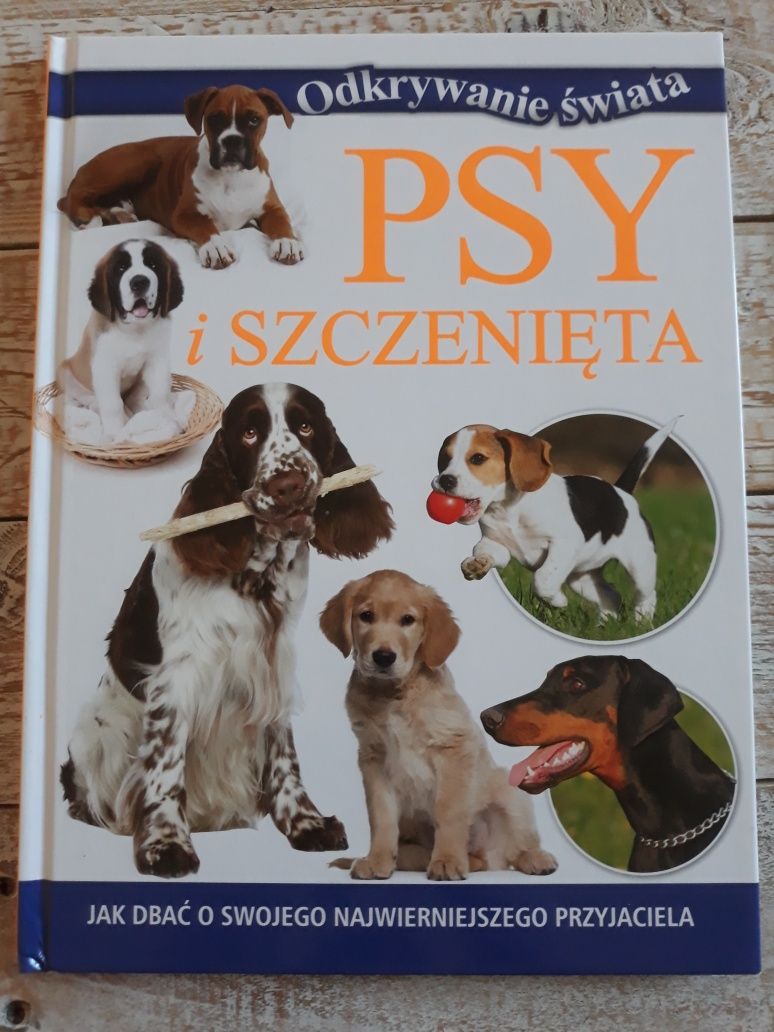 Odkrywanie świata. Psy i szczenięta