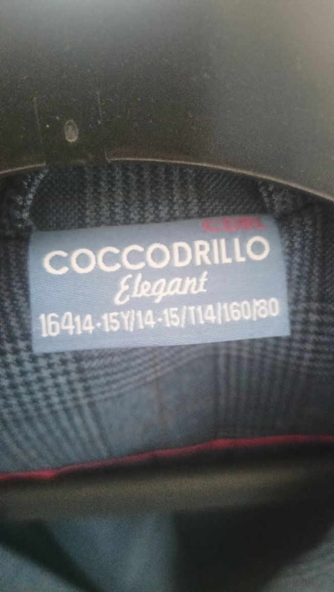 Marynarka 164 coccodrillo