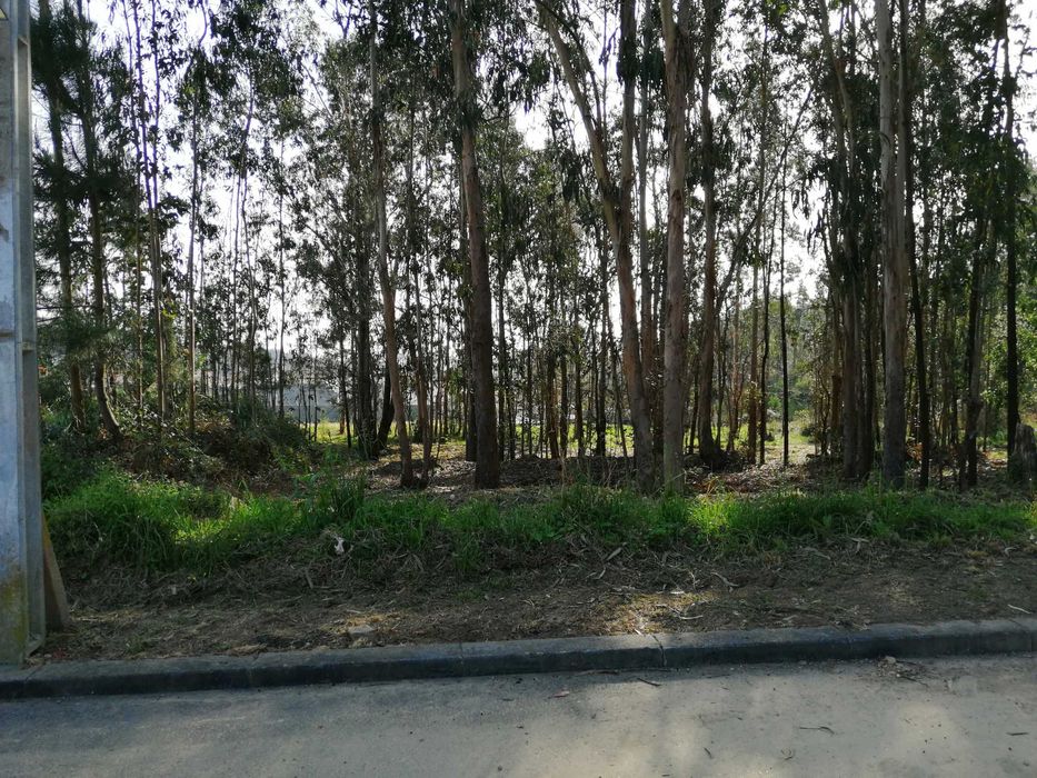 Lote de Terreno em S. João de Ver