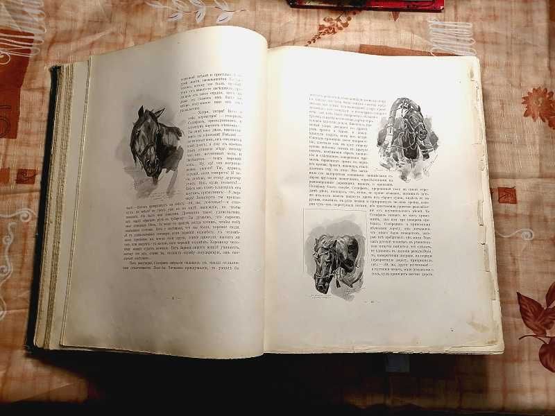 Антикварна книга Н.В Гоголь «Мёртвыя души” Поэма, Издание А.Ф. Маркса