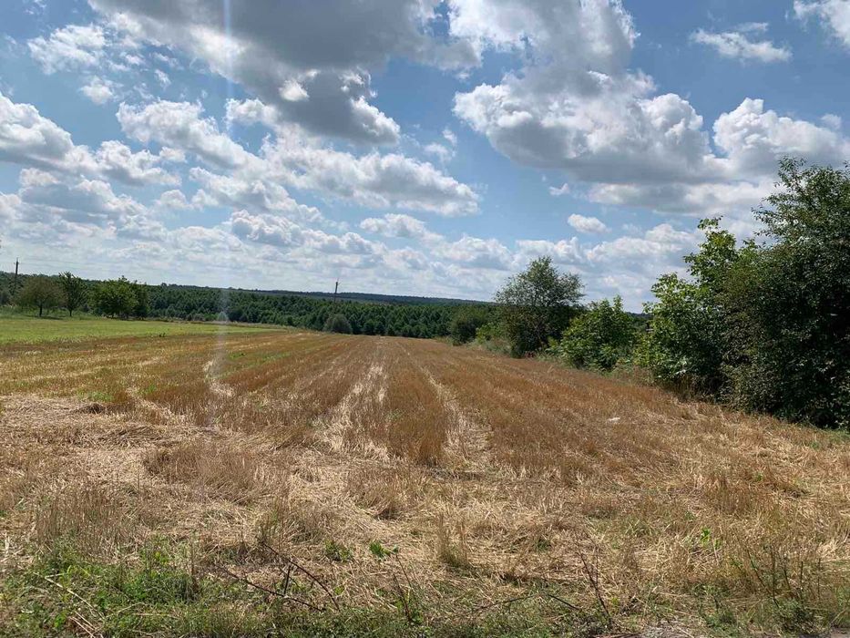 Продаж земельної ділянки 14 000 $