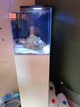 Akwarium Morskie Aquael 40L kostka