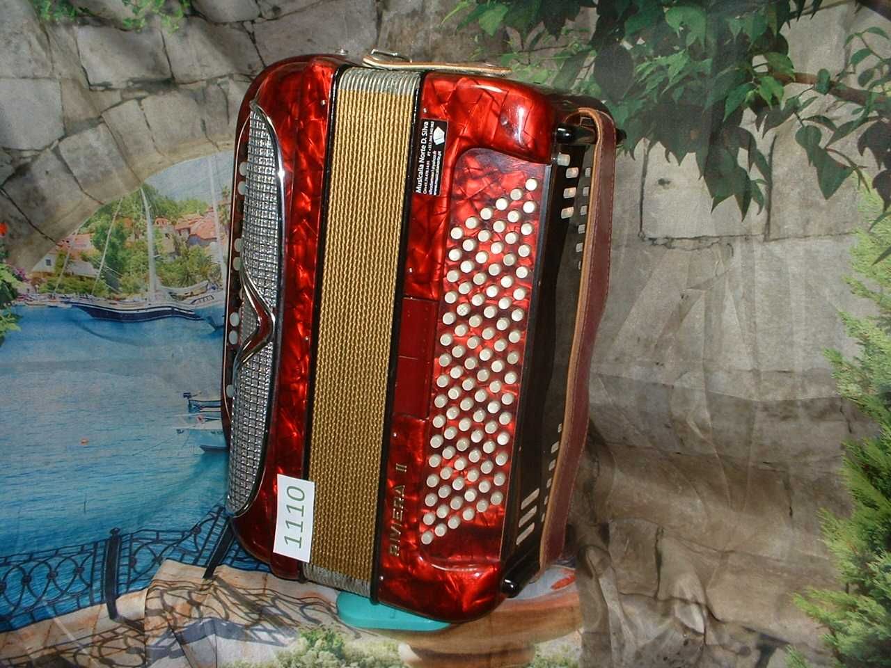 Acordeão Avenda R, .1110