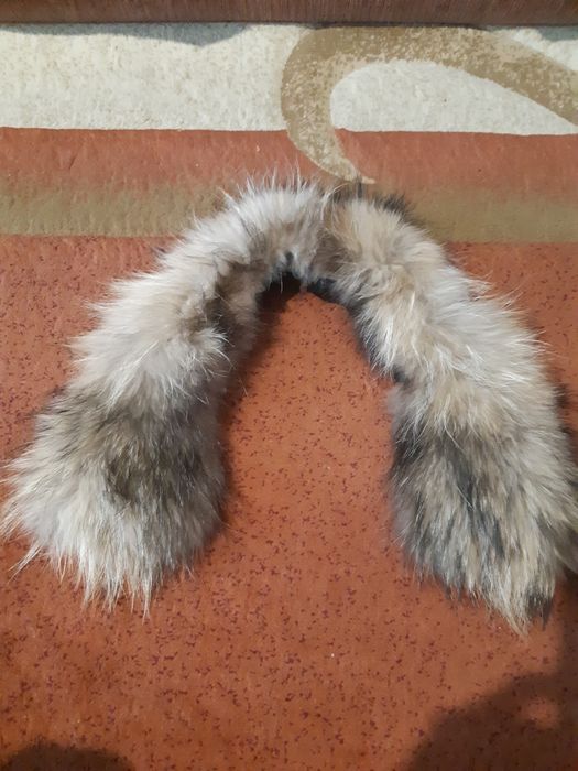 Мех. 280 гривен. Песец