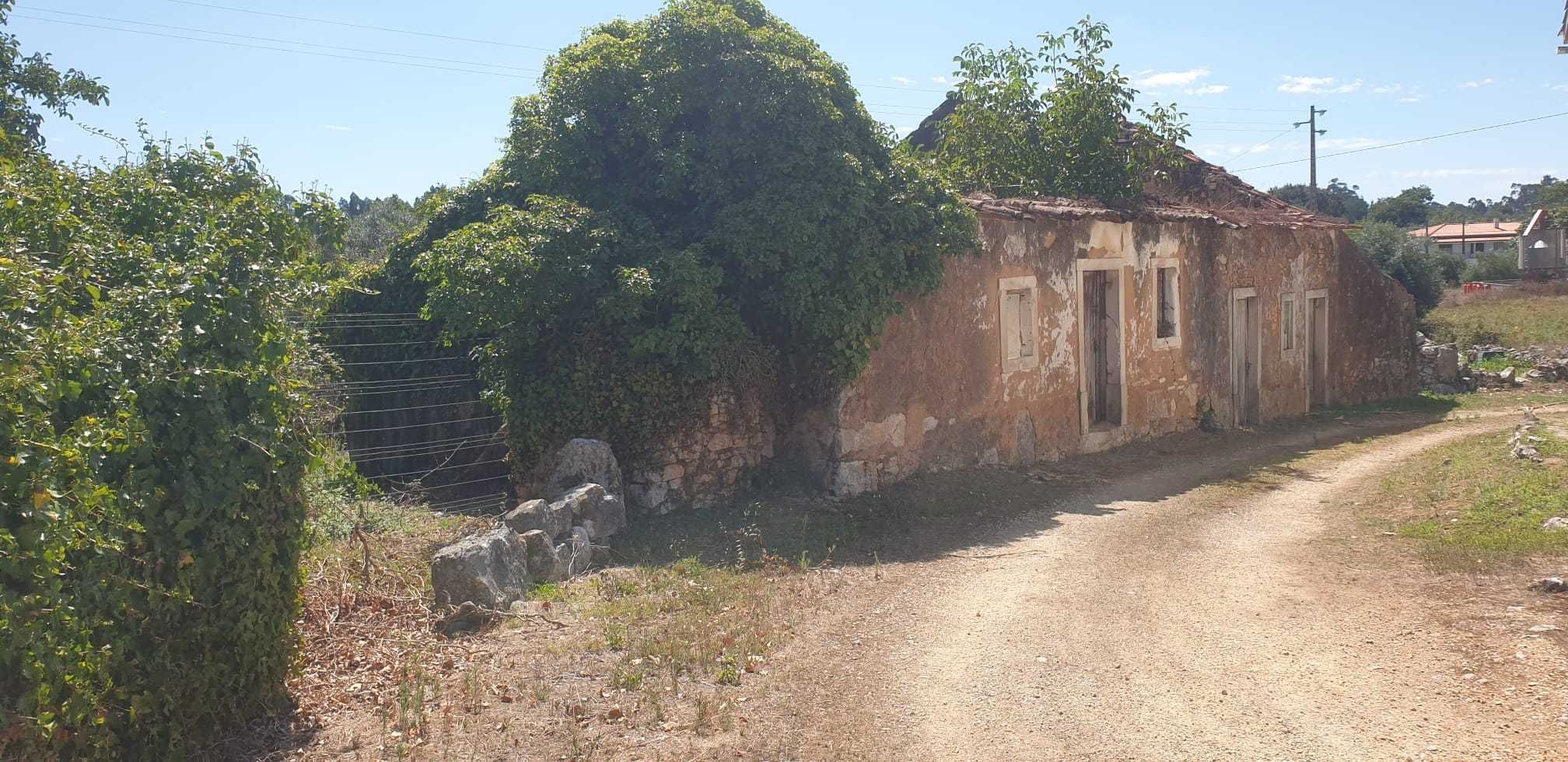 Terreno 1600 m² com ruína – São Mamede, Batalha